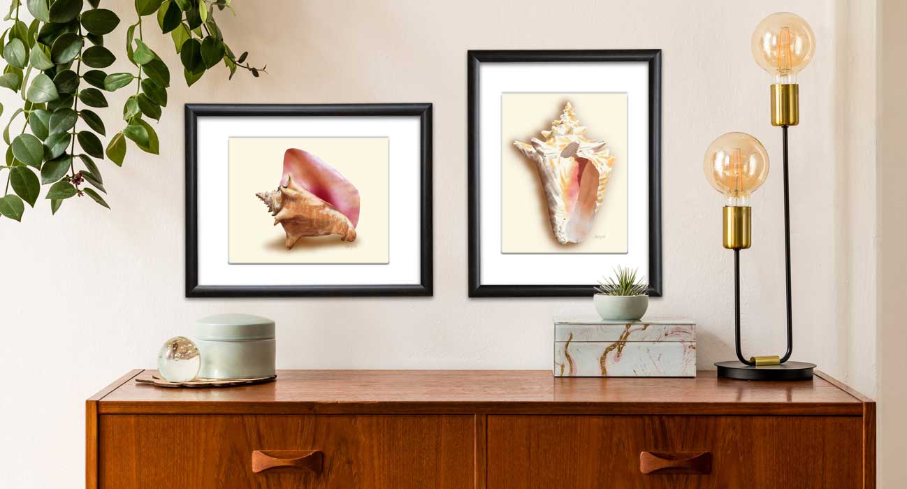 Shell Artwork