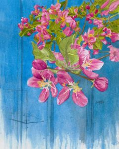 Crabapple Blossom Watercolor