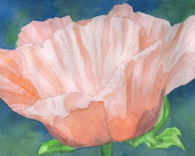 Peach Poppy Watercolor