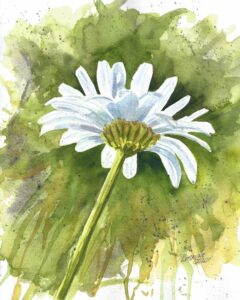 Single Daisy Watercolor