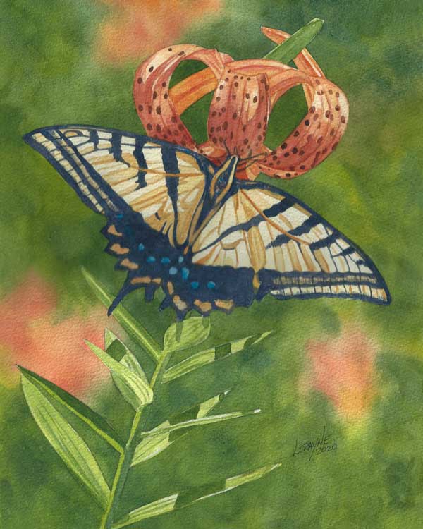 Tiger Lily and Butterfly painting