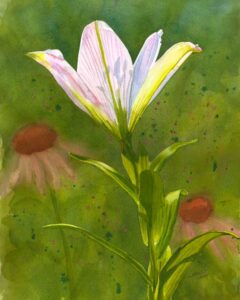 Transparent Lily Watercolor